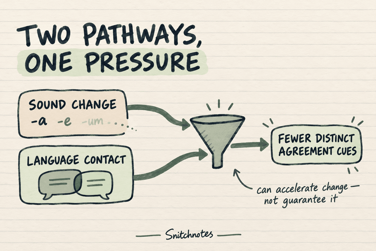 Sound change and language contact can both reduce distinct agreement cues, but neither pressure guarantees that grammatical gender will vanish.